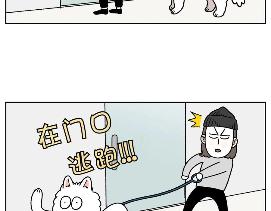 《我的狗子叫棉花》第26话 动物医院 第42页
