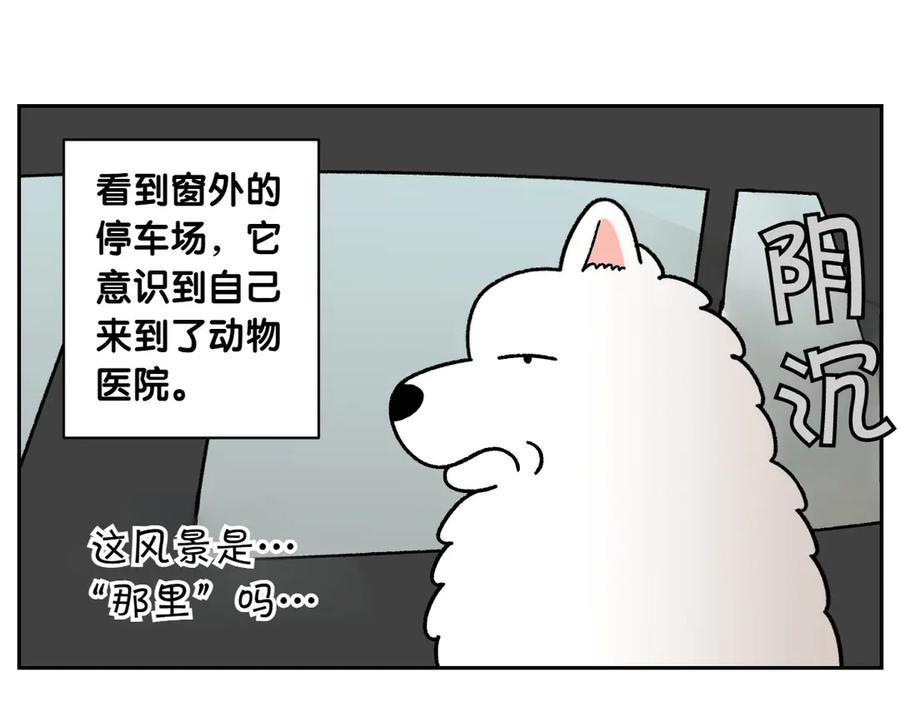 《我的狗子叫棉花》第26话 动物医院 第12页