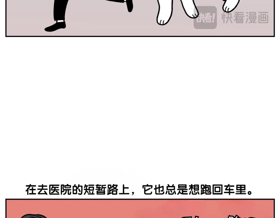 《我的狗子叫棉花》第26话 动物医院 第17页
