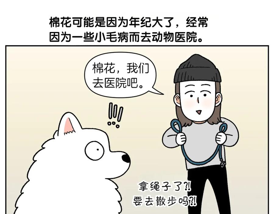 《我的狗子叫棉花》第26话 动物医院 第5页