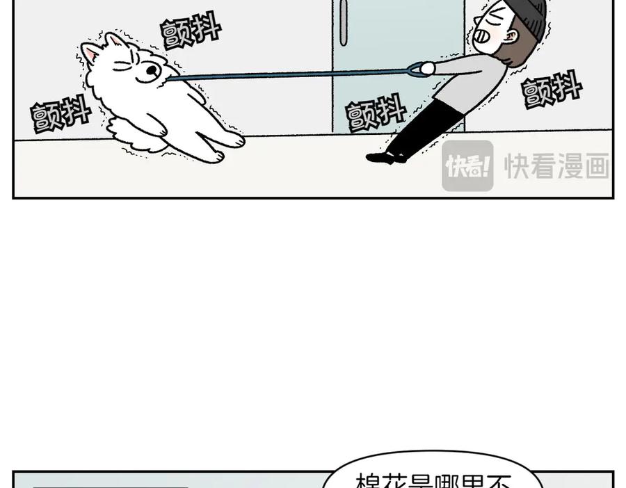 《我的狗子叫棉花》第26话 动物医院 第44页