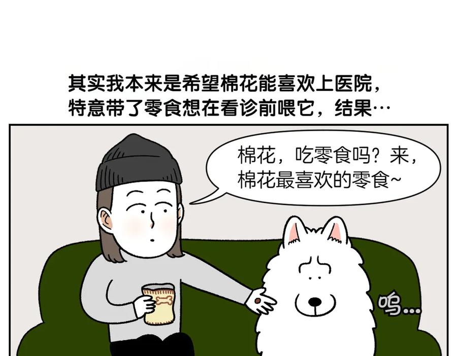 《我的狗子叫棉花》第27话 动物医院2 第41页