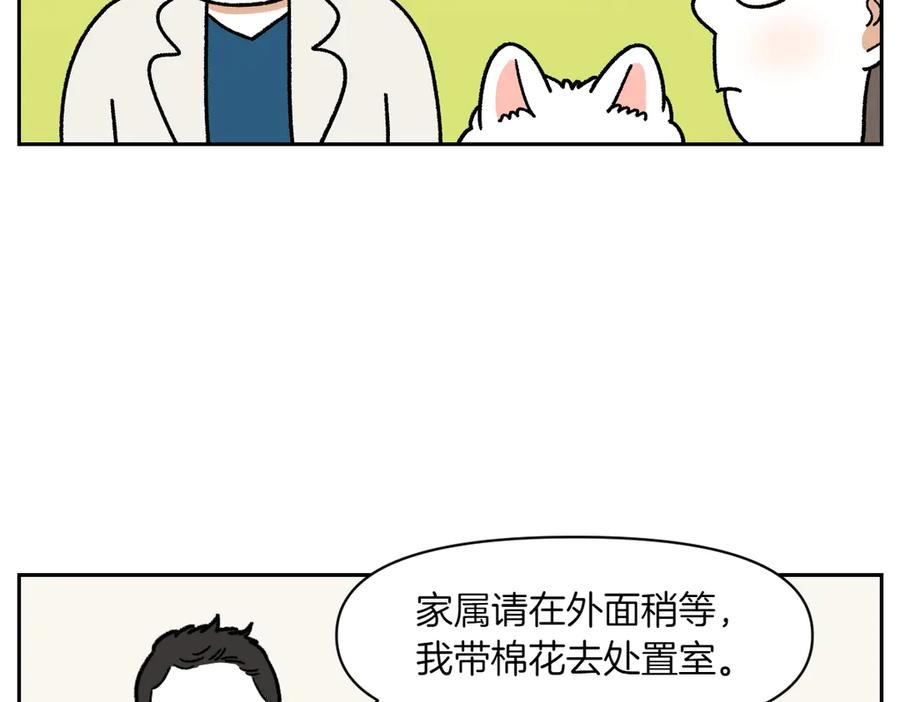 《我的狗子叫棉花》第27话 动物医院2 第14页