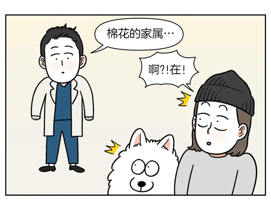 《我的狗子叫棉花》第27话 动物医院2 第27页