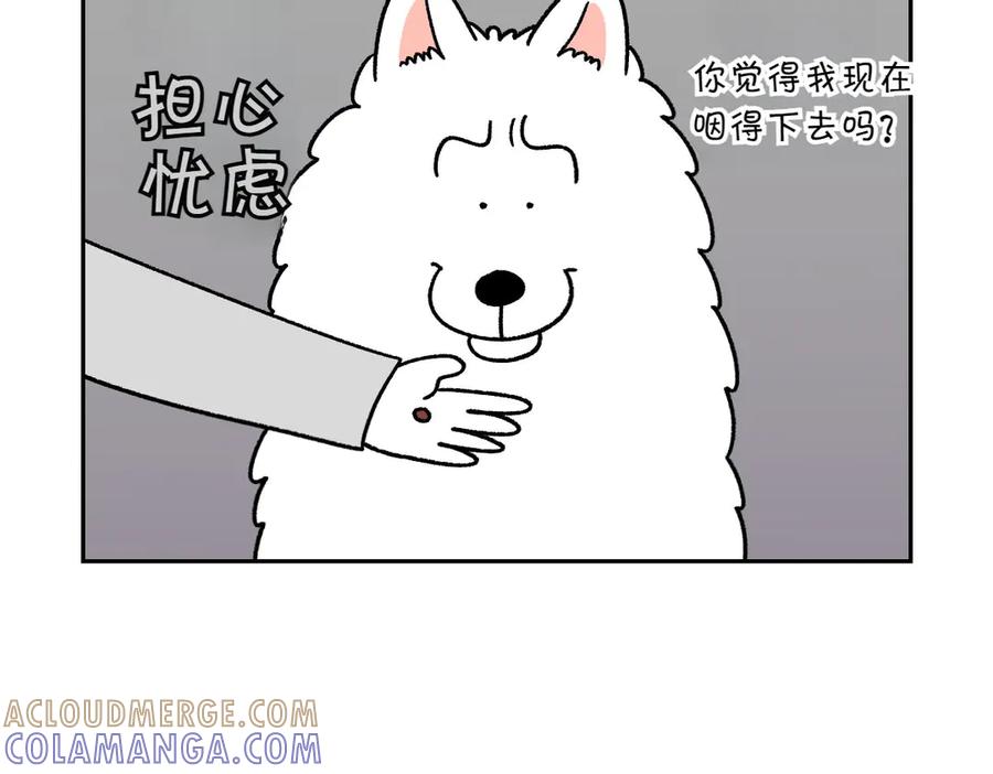 《我的狗子叫棉花》第27话 动物医院2 第43页