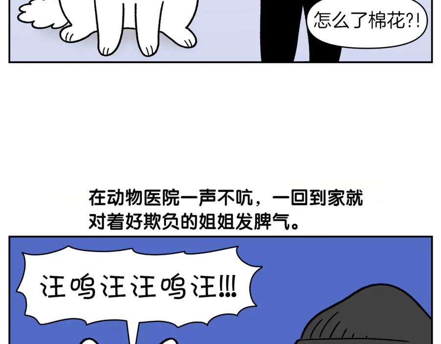 《我的狗子叫棉花》第27话 动物医院2 第48页