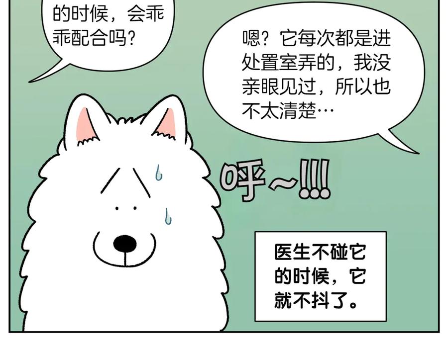 《我的狗子叫棉花》第27话 动物医院2 第12页