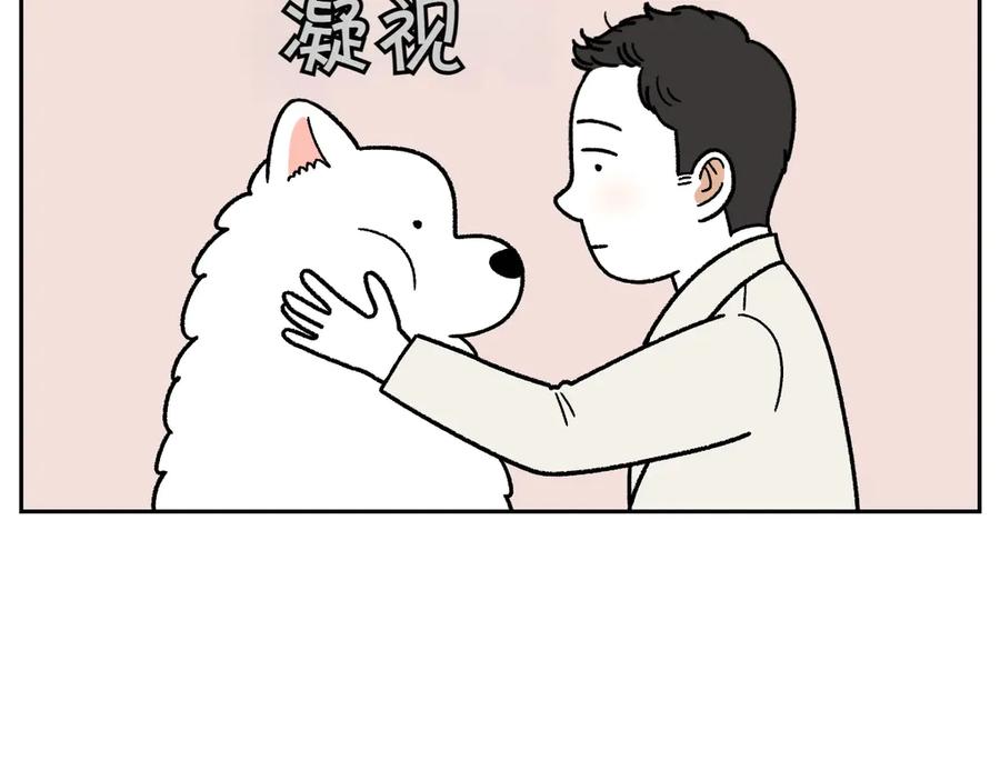 《我的狗子叫棉花》第27话 动物医院2 第8页