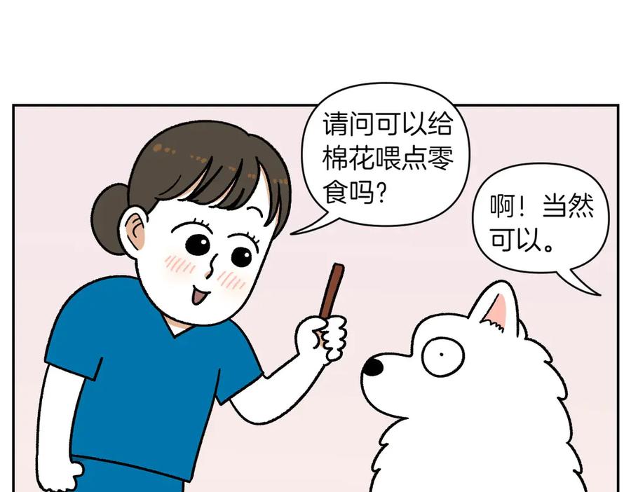 《我的狗子叫棉花》第27话 动物医院2 第35页