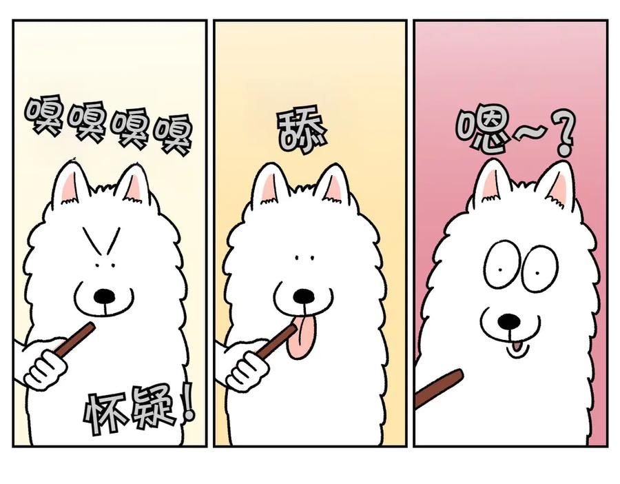 《我的狗子叫棉花》第27话 动物医院2 第38页