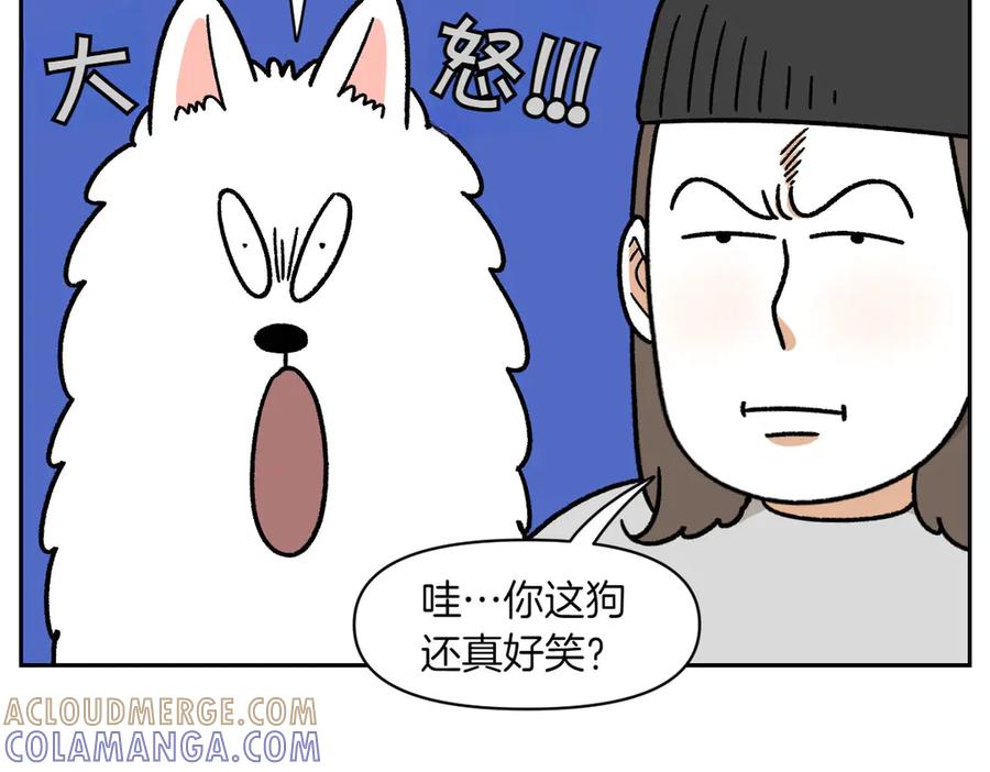 《我的狗子叫棉花》第27话 动物医院2 第49页