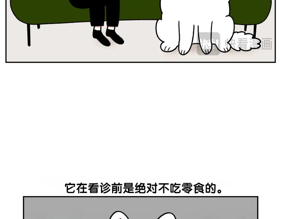 《我的狗子叫棉花》第27话 动物医院2 第42页