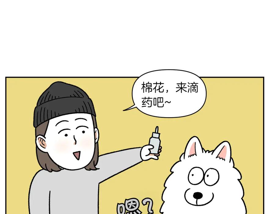 《我的狗子叫棉花》第28话 狗狗药 第6页