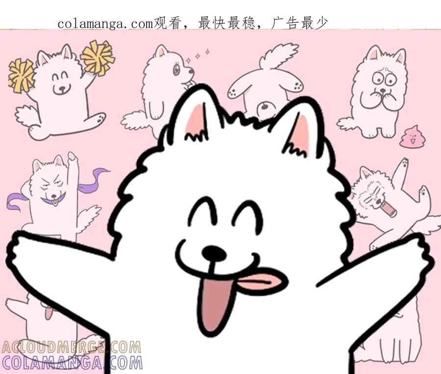《我的狗子叫棉花》第28话 狗狗药 第1页