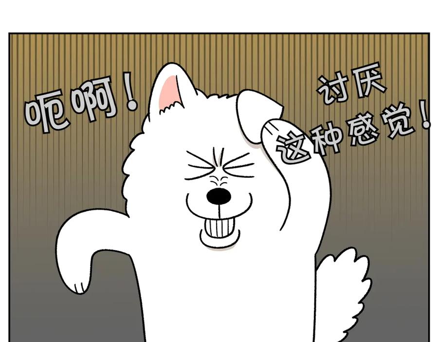 《我的狗子叫棉花》第28话 狗狗药 第12页