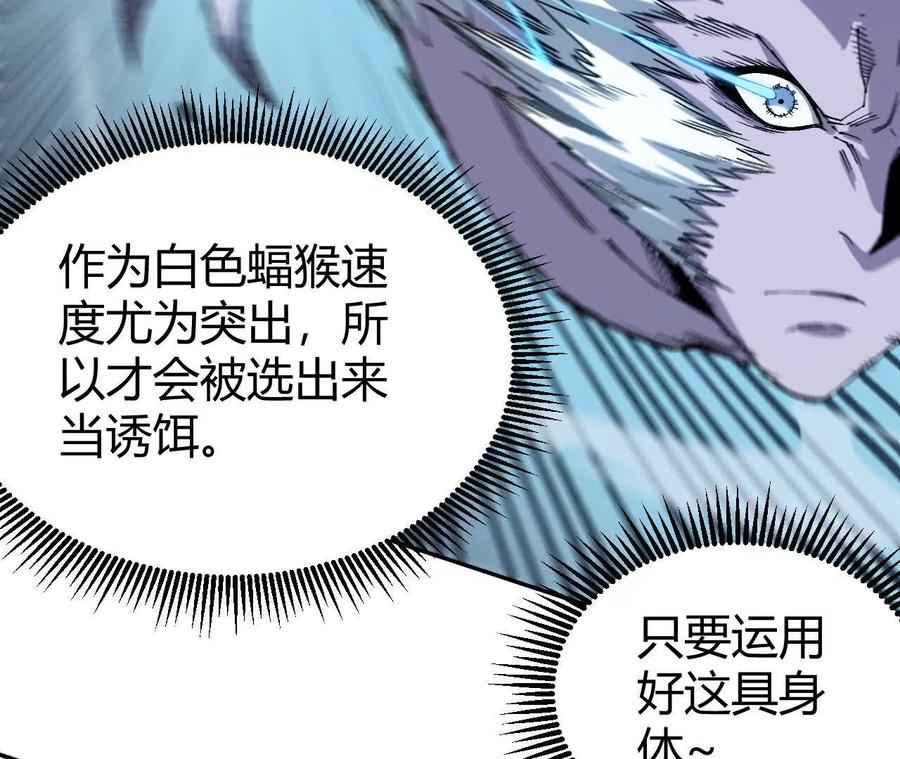 《仙王狩猎法则》蝠猴特性 第78页