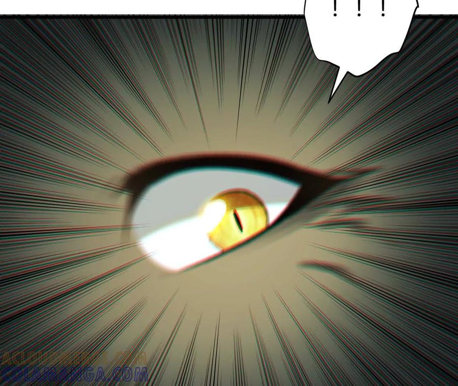 《仙王狩猎法则》三杀 第117页