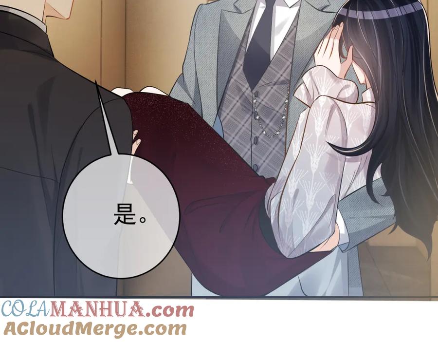 《天降萌宝：霍爷请签收》第3话：夫人的小情人 第9页