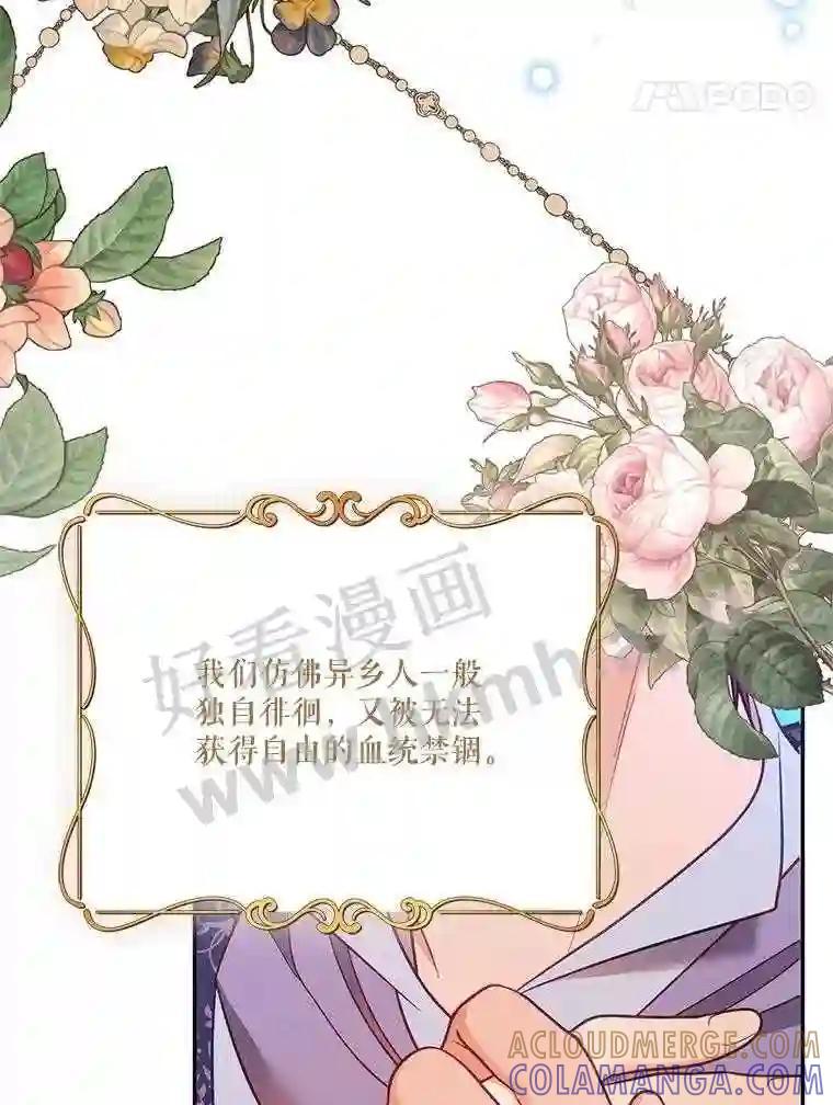 《披荆斩棘的未来》76.风平浪静后的感想 第117页
