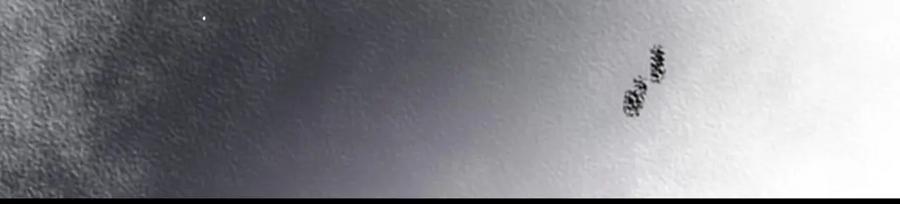 朝西，In or out - 216话 连灵魂都老去（六） - 第69张图