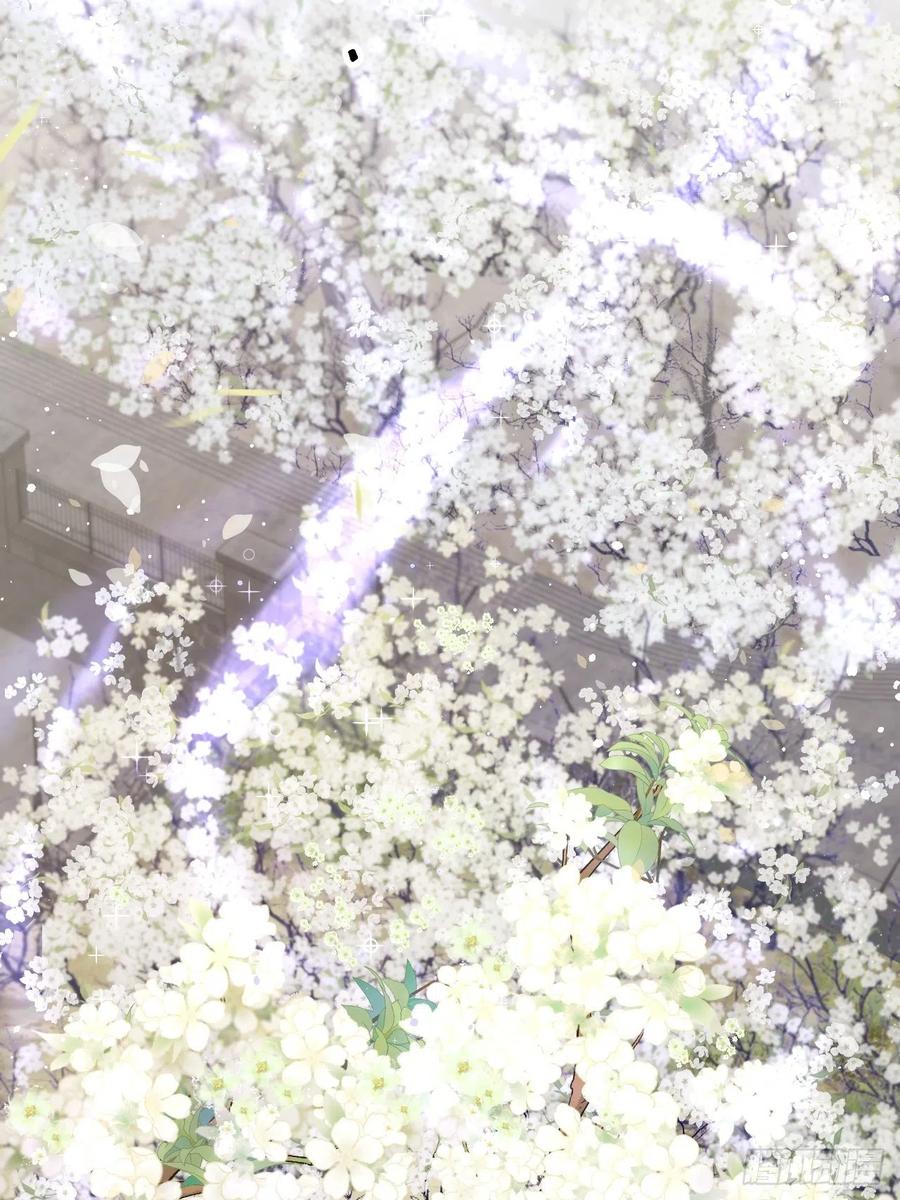 朝西，In or out - 第76话 赠师一场花开 - 第36张图