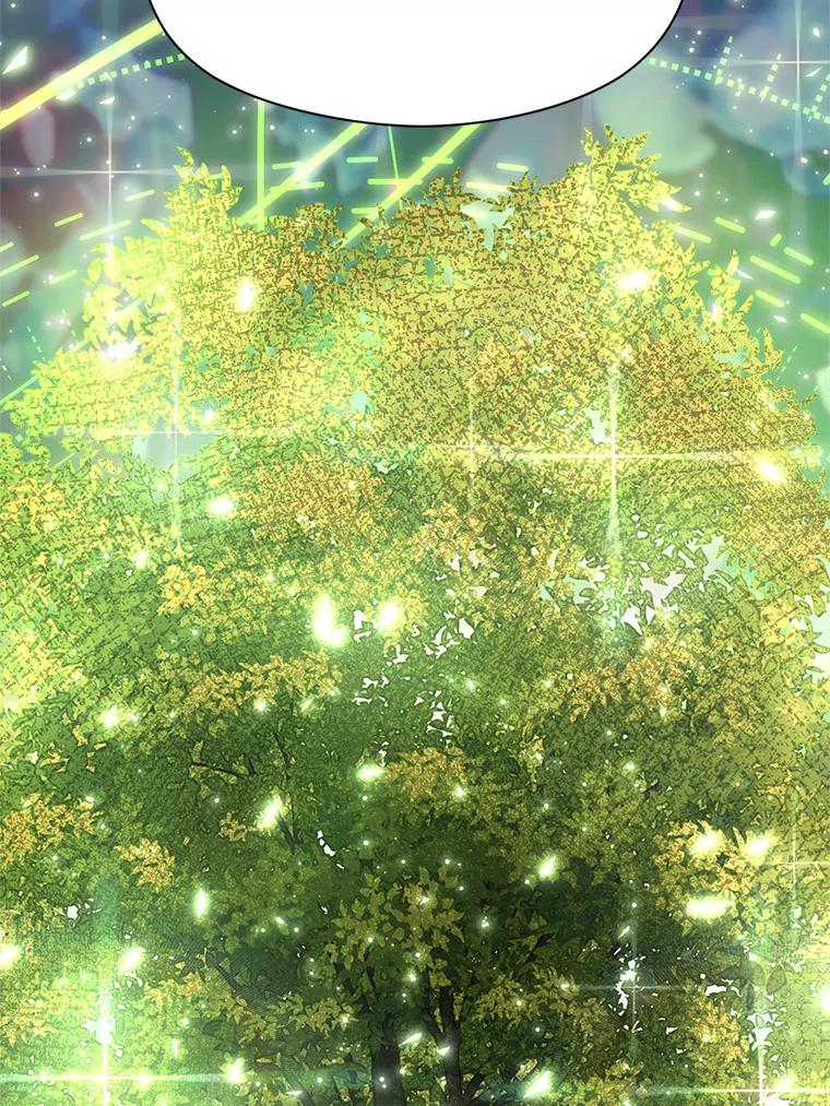 《超越时间的大魔导士》37.精灵之森 第84页