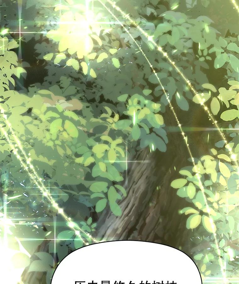 《超越时间的大魔导士》38.世界树 第89页
