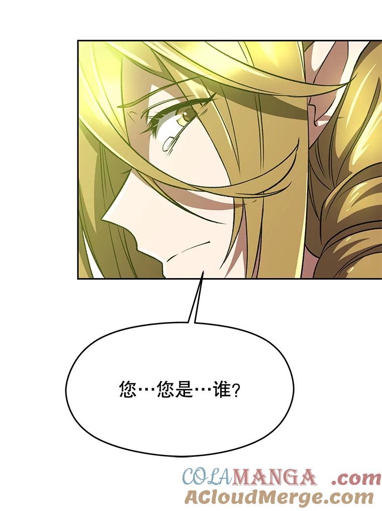 《超越时间的大魔导士》39.面见精灵王 第22页