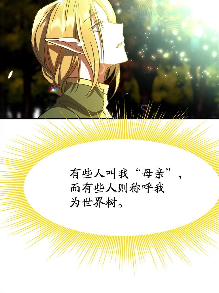 《超越时间的大魔导士》39.面见精灵王 第12页