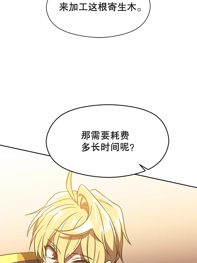 《超越时间的大魔导士》41.制作魔具 第31页