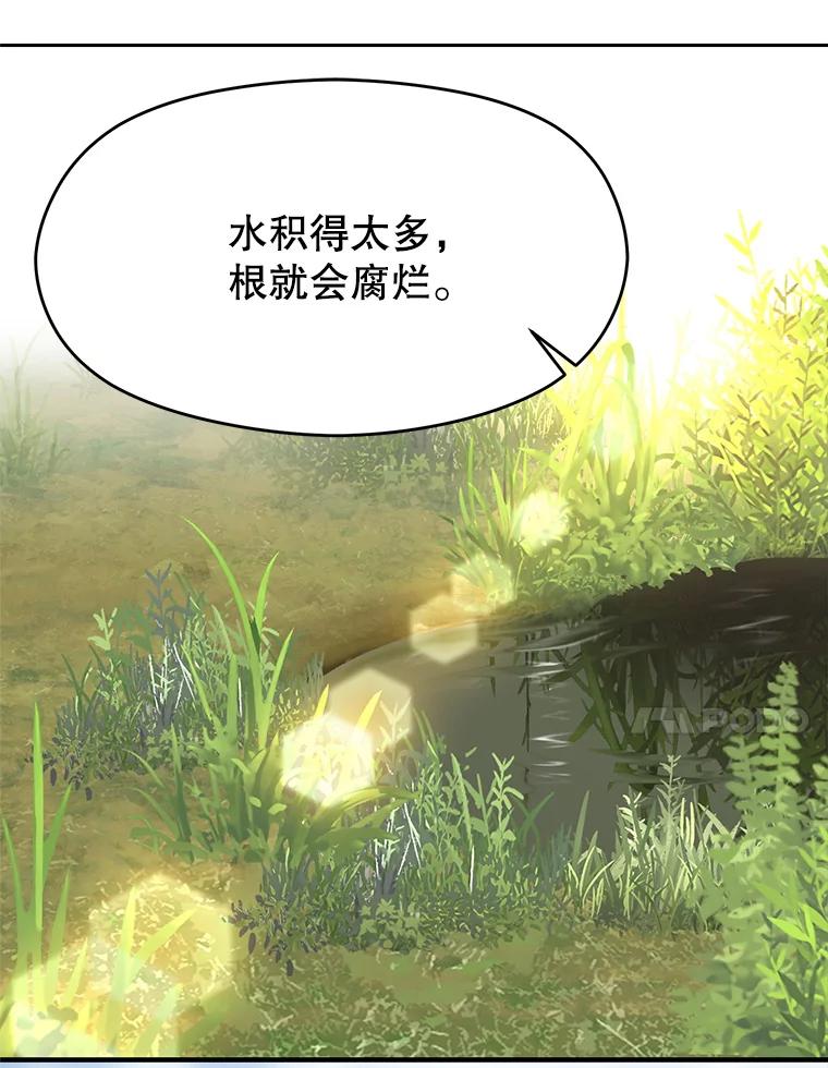 《超越时间的大魔导士》46.抵达教国 第24页