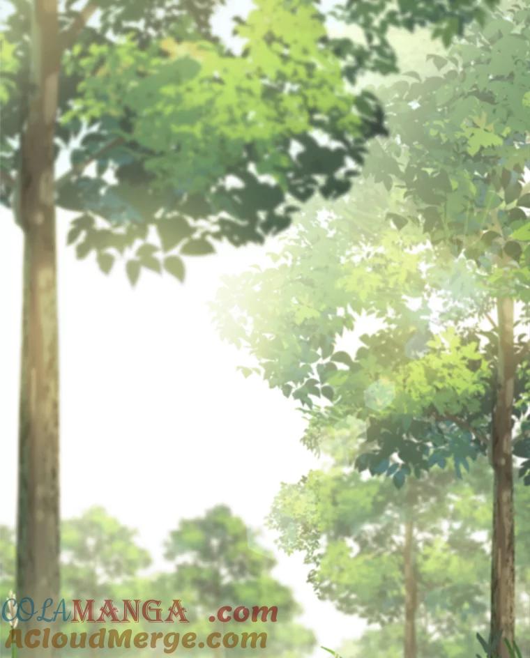 《超越时间的大魔导士》75.打赌 第17页