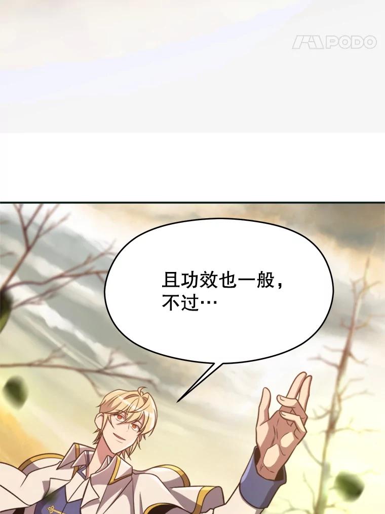《超越时间的大魔导士》89.皇帝的召见 第24页