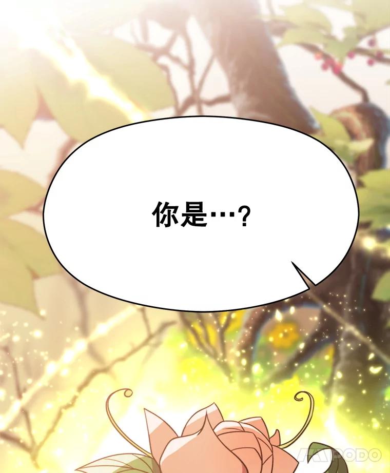《超越时间的大魔导士》90.不可思议之事 第103页