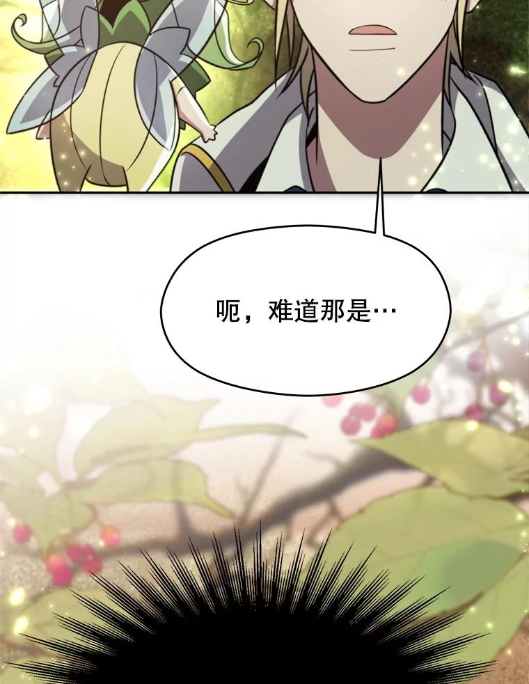 《超越时间的大魔导士》91.抵达首都 第14页