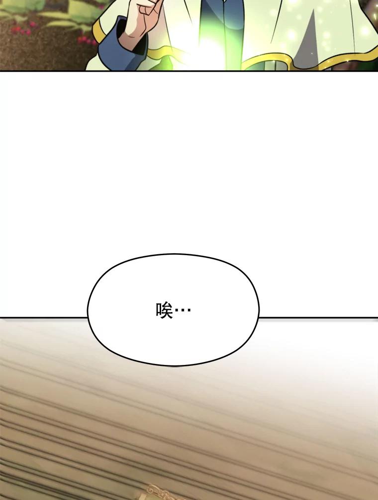 《超越时间的大魔导士》91.抵达首都 第43页