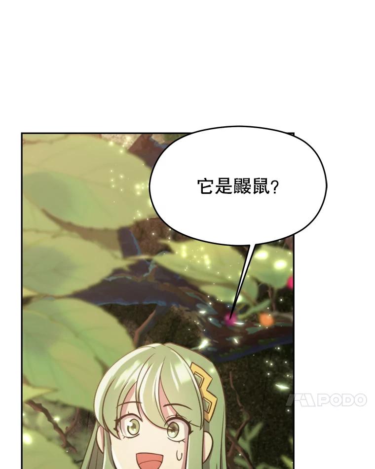 《超越时间的大魔导士》91.抵达首都 第11页