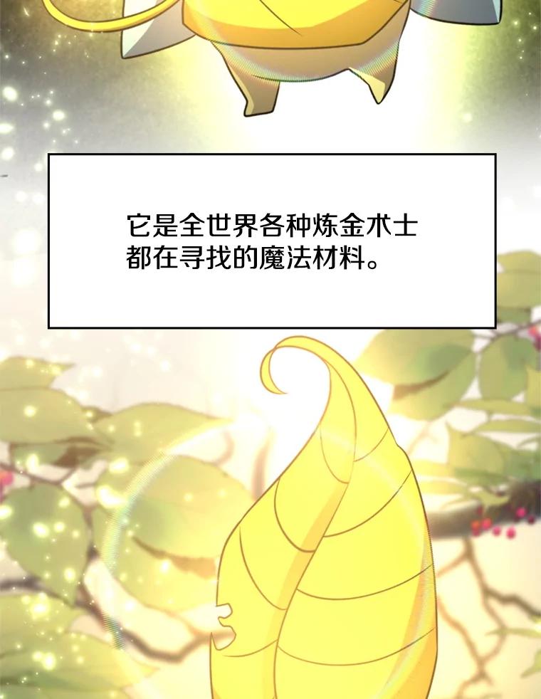 《超越时间的大魔导士》91.抵达首都 第16页