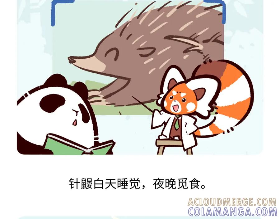 《胖达x胖达》第256话 第27页