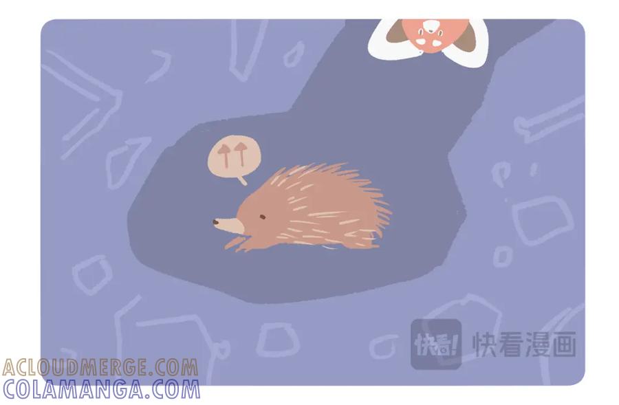 《胖达x胖达》第256话 第29页