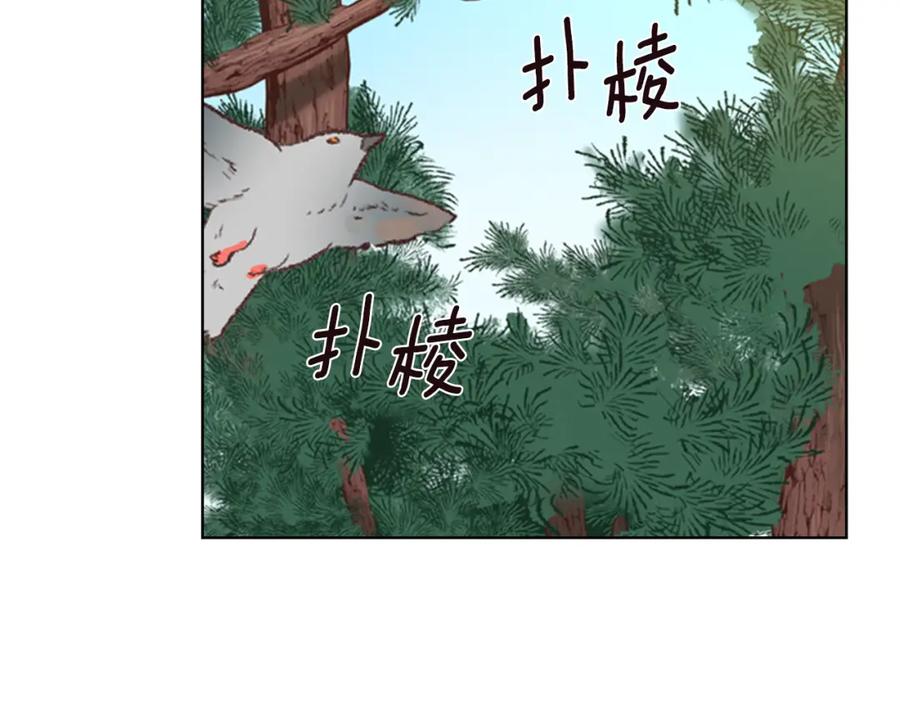 《逃婚郡主和她的影卫们》第22话 担心 第50页