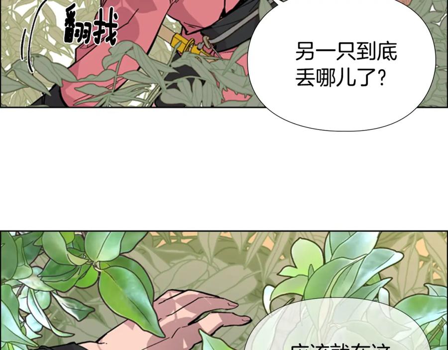 《逃婚郡主和她的影卫们》第25话 绣鞋 第39页