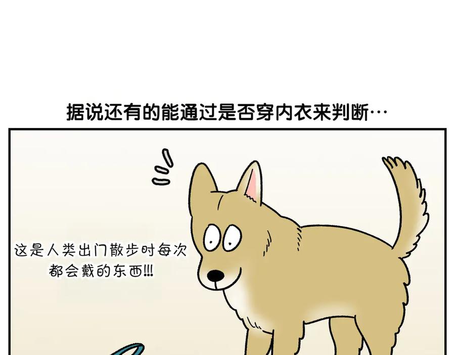 《我的狗子叫棉花》第60话 禁止单词-散步 第42页