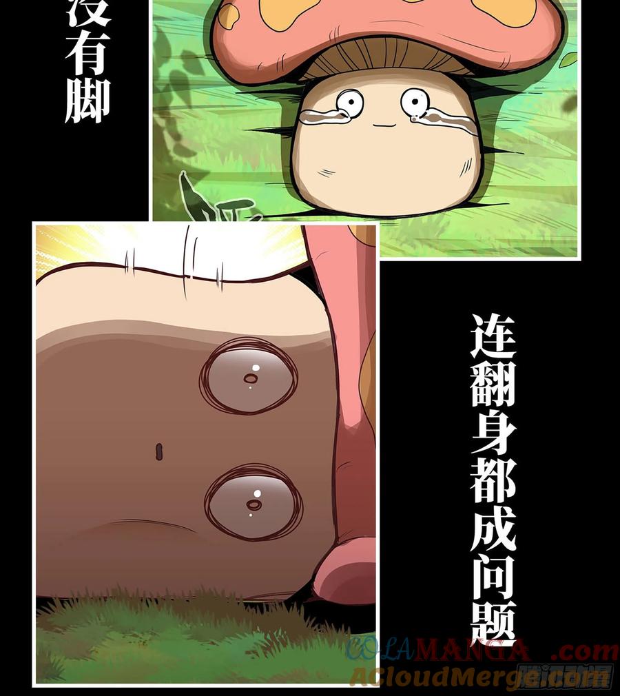 《史上最强》漫画推荐 2 第13页