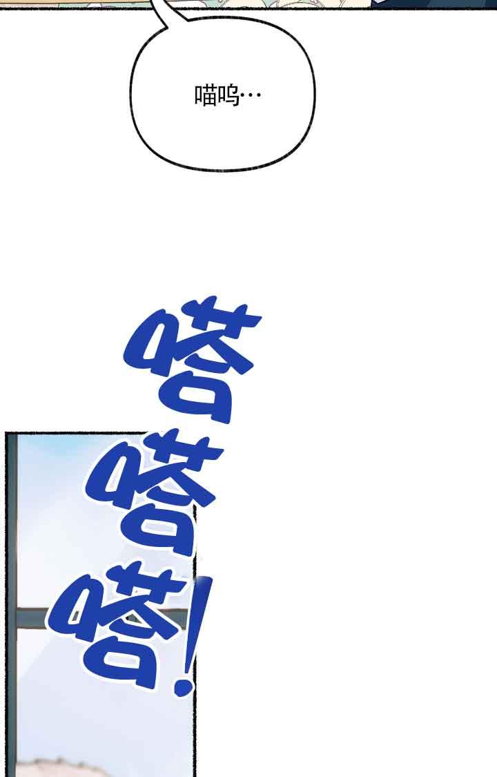 成了每晚和偏执暴君共眠的猫 - 第09话 - 第11张图