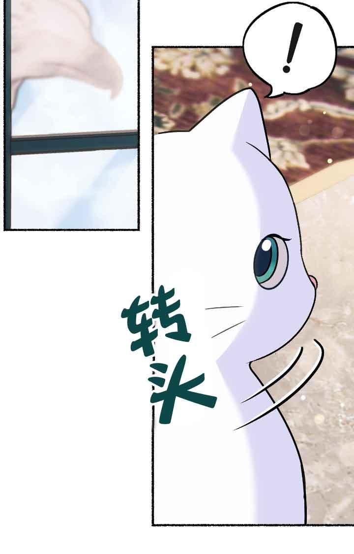 成了每晚和偏执暴君共眠的猫 - 第09话 - 第12张图