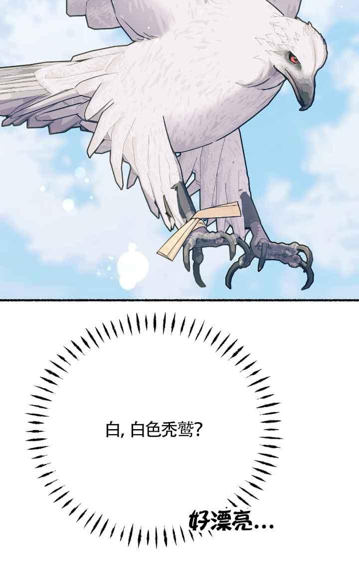 成了每晚和偏执暴君共眠的猫 - 第09话 - 第14张图