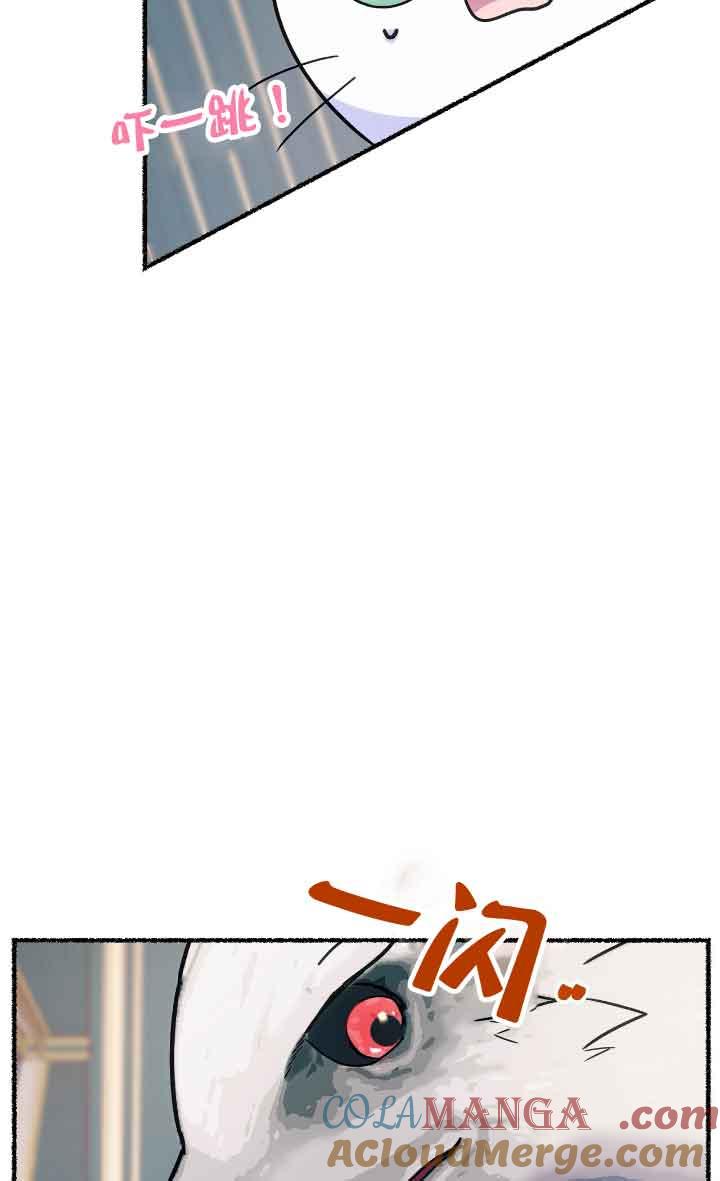 成了每晚和偏执暴君共眠的猫 - 第09话 - 第25张图