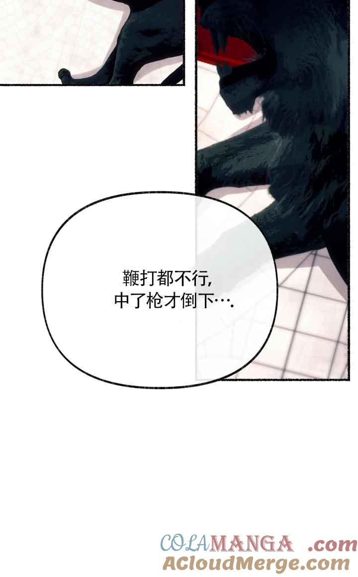 成了每晚和偏执暴君共眠的猫 - 第09话 - 第45张图