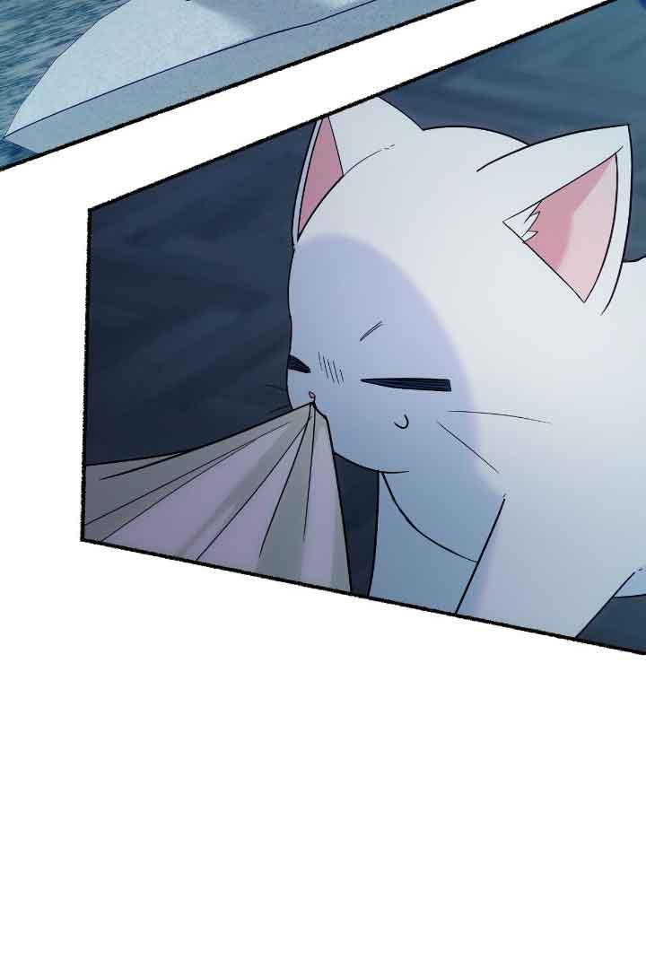 成了每晚和偏执暴君共眠的猫 - 第10话 - 第34张图